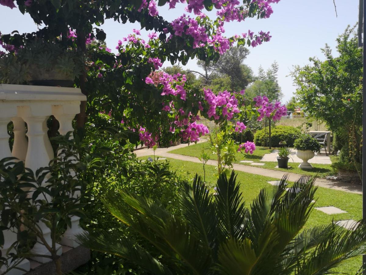 וודיצה Apartments Daniela מראה חיצוני תמונה